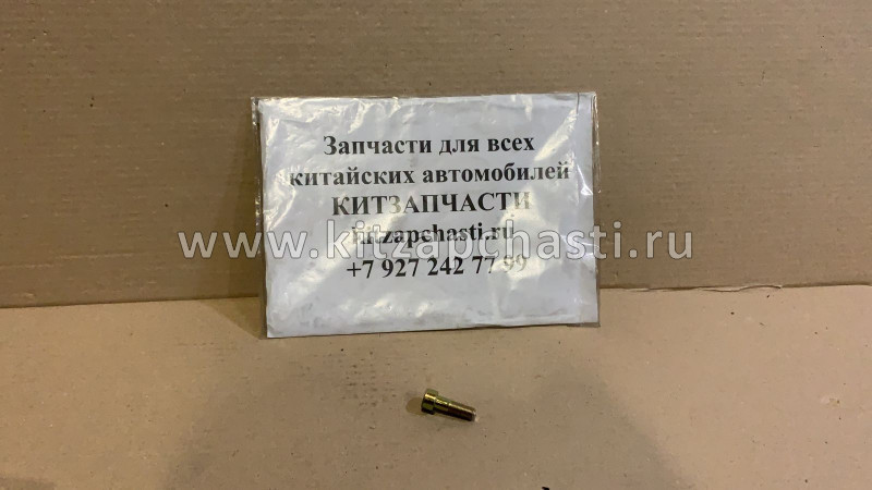 БОЛТ КРЫШКИ СТУПИЦЫ ПЕРЕДНЕГО КОЛЕСА Great Wall Hover H3 New (TURBO) 3001102-K01