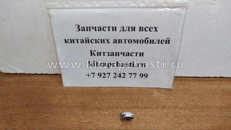 Гайка колесная HAVAL F7x 3101014XKS00A